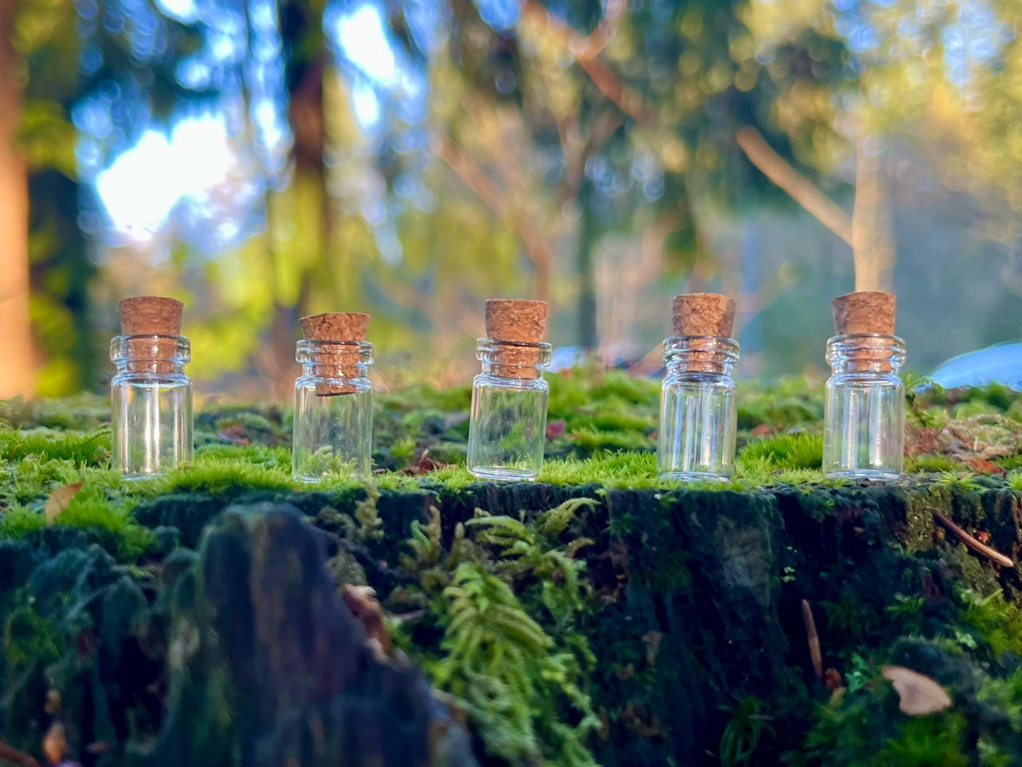 Set of 20 Enchanted Transparent Tiny Glass Bottles