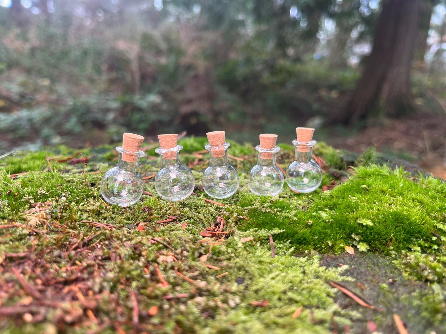 Set of 5 Enchanted Transparent Miniature Bottles