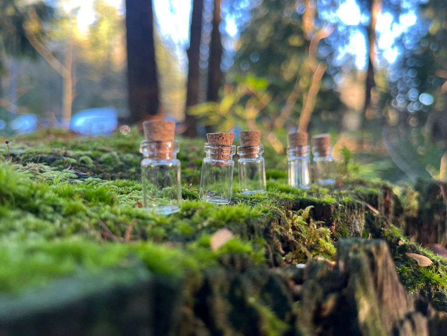 Set of 5 Enchanted Transparent Tiny Bottles