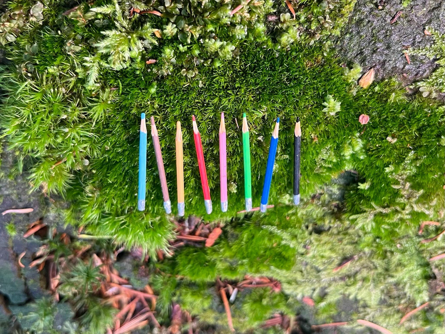 8 Miniature Colorful Pencils