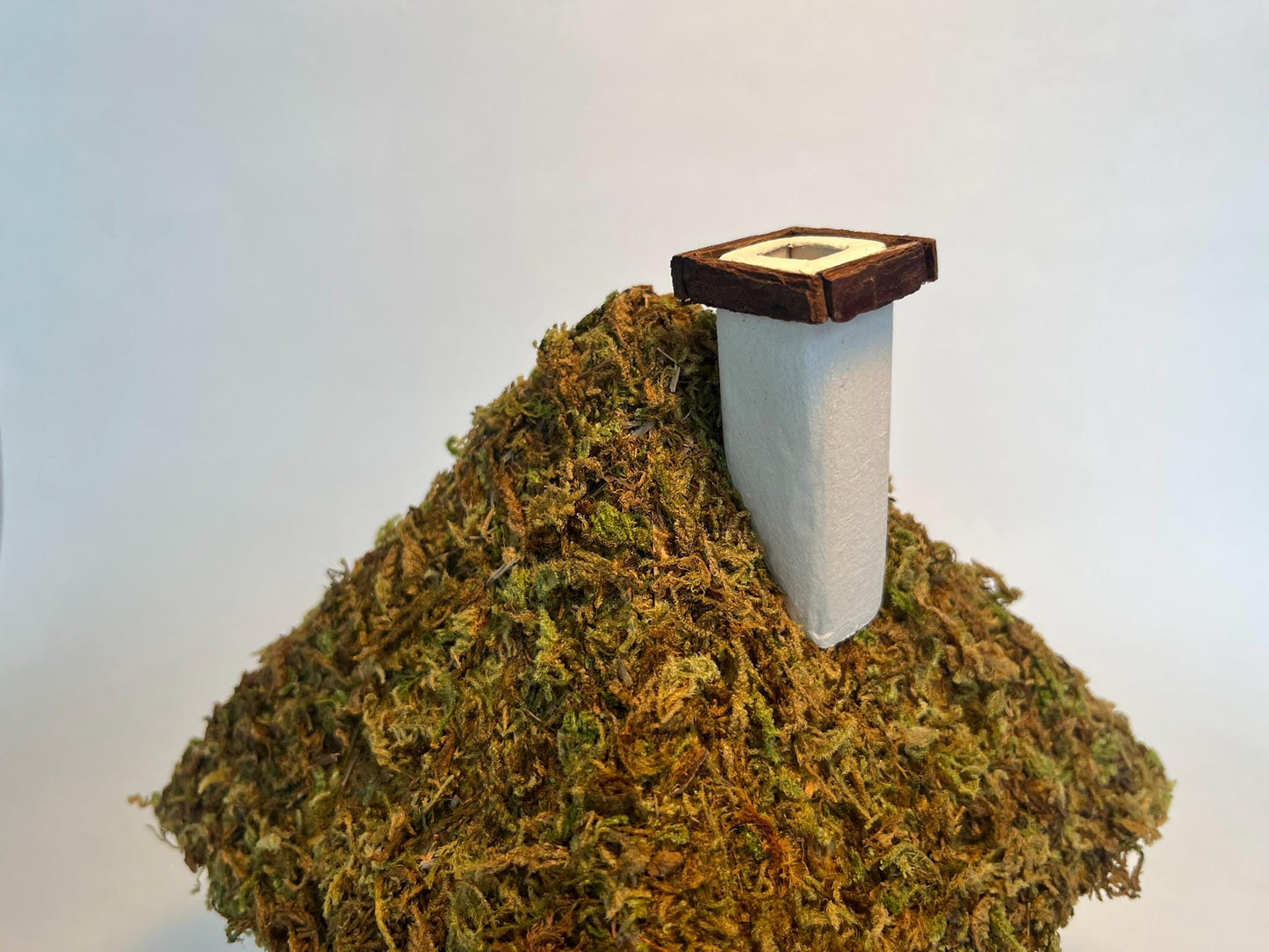 Natural Dried Forest Moss – Perfect for Fairy Gardens & Miniature Creations