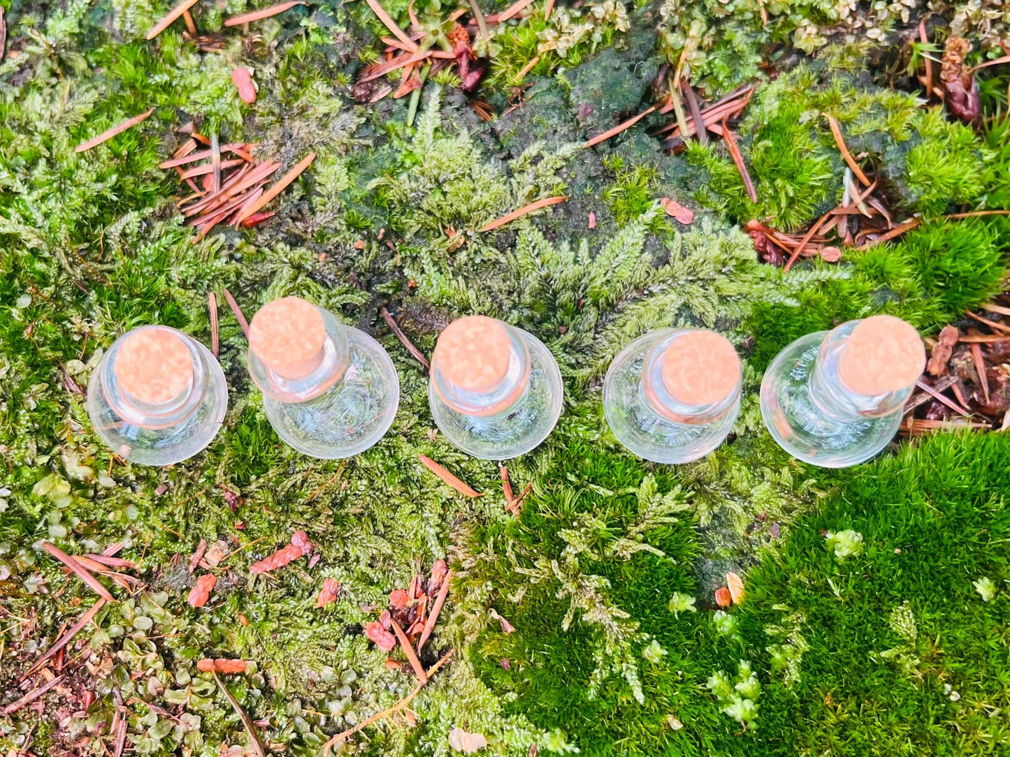 Set of 5 Enchanted Transparent Miniature Bottles