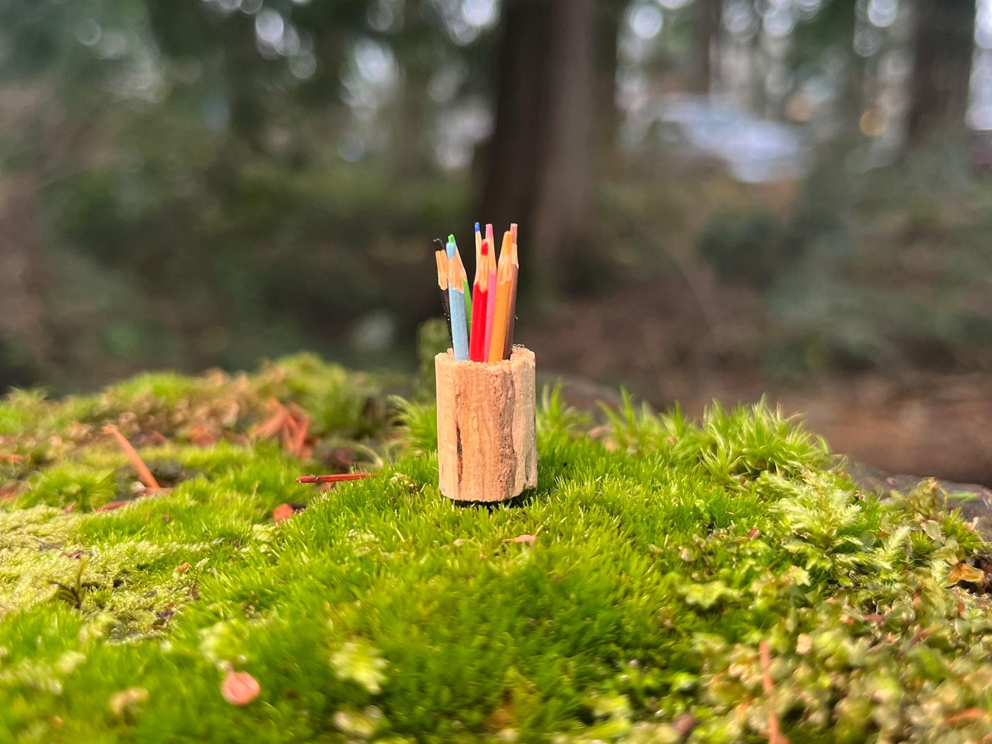 8 Miniature Colorful Pencils