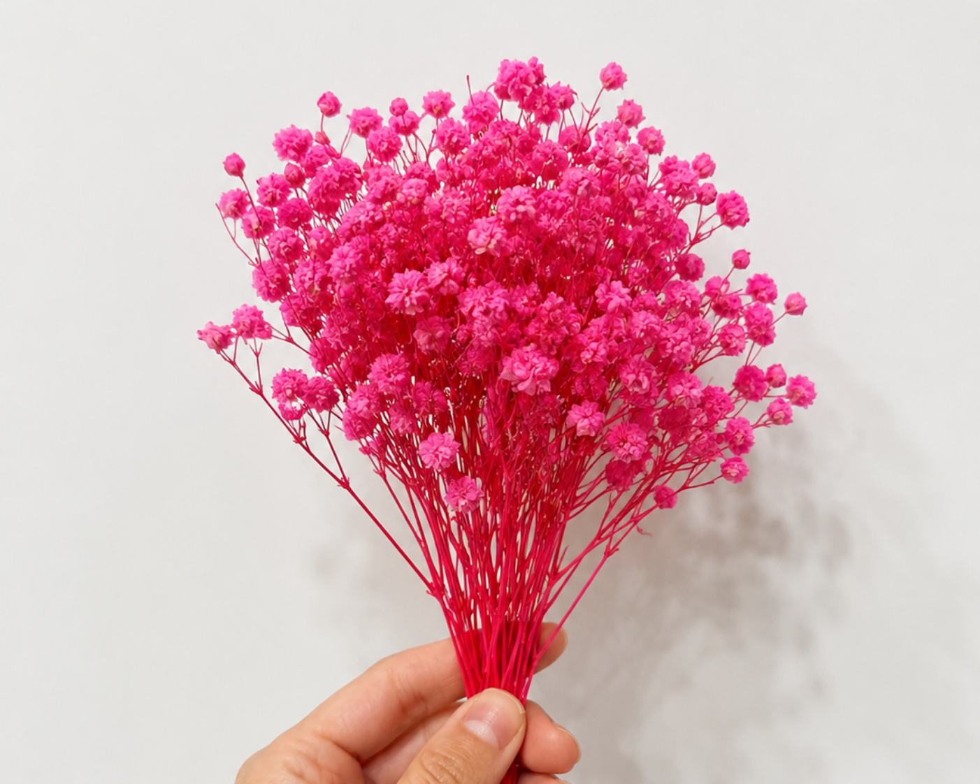 Preserved Flower Set for Fairy Gardens & Miniature Scenes