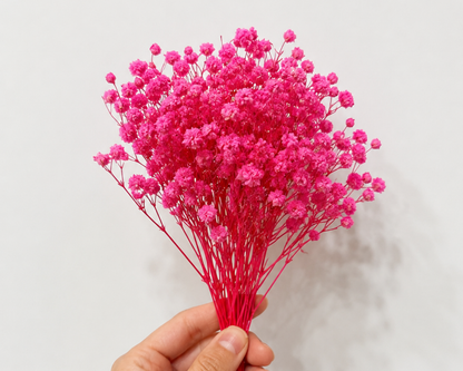 Preserved Flower Set for Fairy Gardens & Miniature Scenes