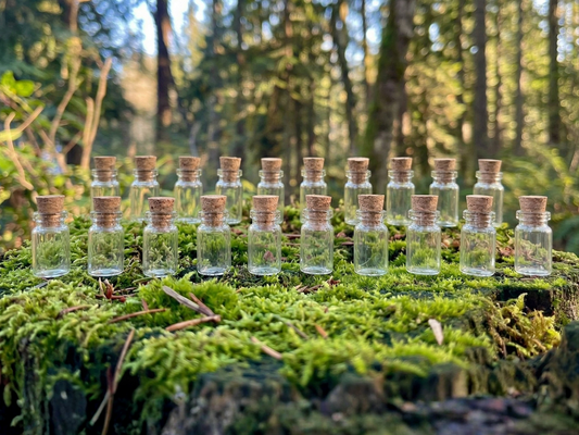 Set of 20 Enchanted Transparent Tiny Glass Bottles
