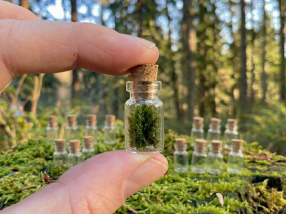 Set of 20 Enchanted Transparent Tiny Glass Bottles