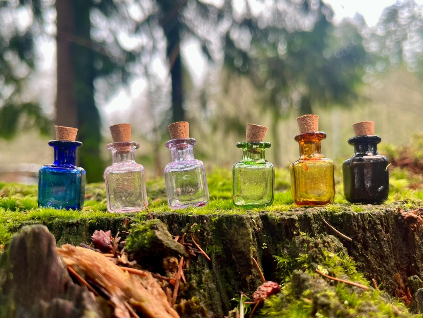 Set of 10 Enchanted Colored Miniature Glass Bottles