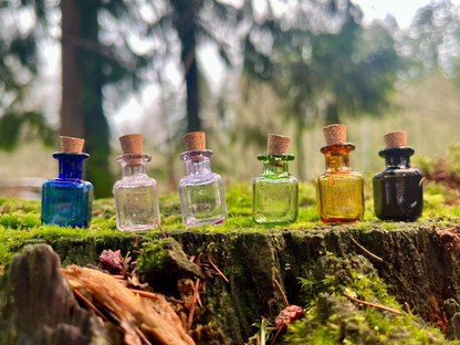 Set of 10 Enchanted Colored Miniature Glass Bottles