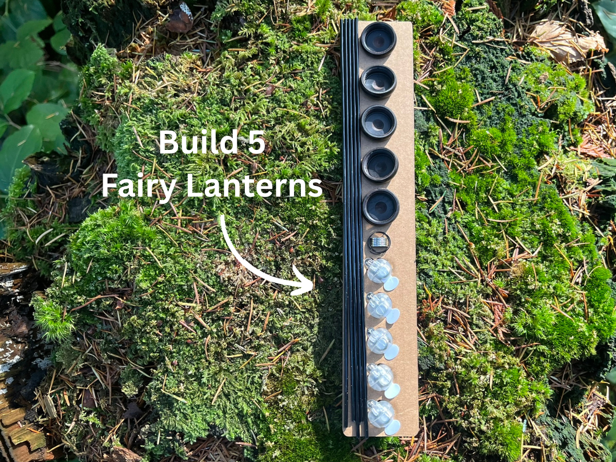 DIY Fairy Lantern Kit with Wooden Acorn Cap - Create 5 Magical Fairy Lights