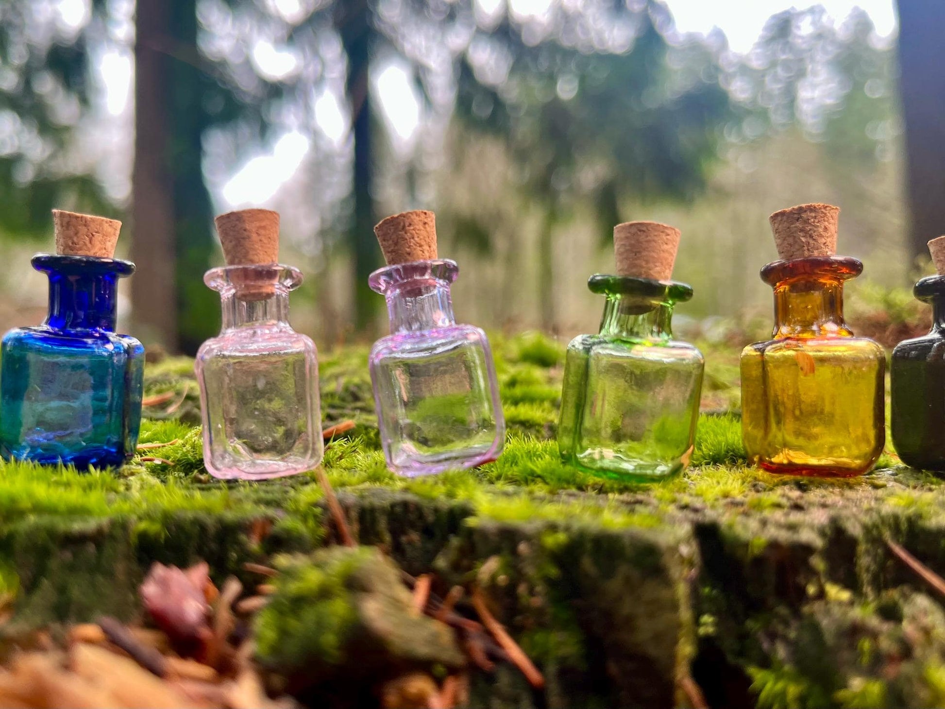Set of 6 Enchanted Colored Miniature Bottles
