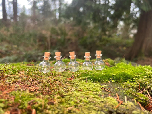 Set of 5 Enchanted Transparent Miniature Bottles
