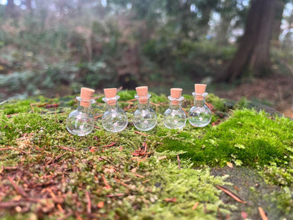 Set of 5 Enchanted Transparent Miniature Bottles