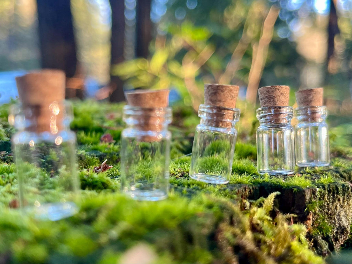 Set of 20 Enchanted Transparent Tiny Glass Bottles