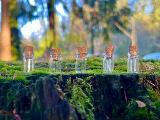 Set of 5 Enchanted Transparent Tiny Bottles