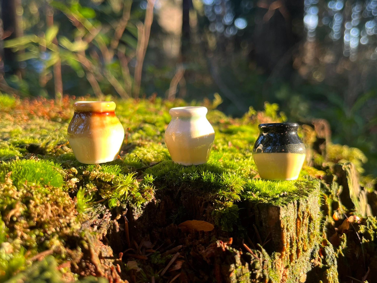 Set of 3 Enchanted Miniature Ceramic Vases