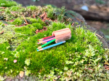 8 Miniature Colorful Pencils