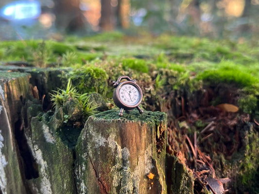 Enchanted Bronze Alarm Clock