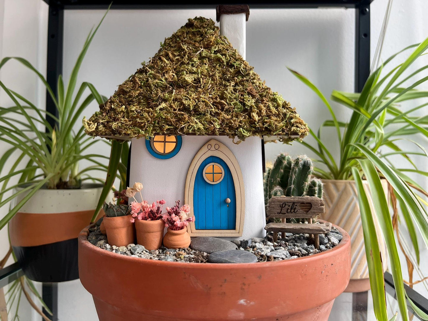 Natural Dried Forest Moss – Perfect for Fairy Gardens & Miniature Creations