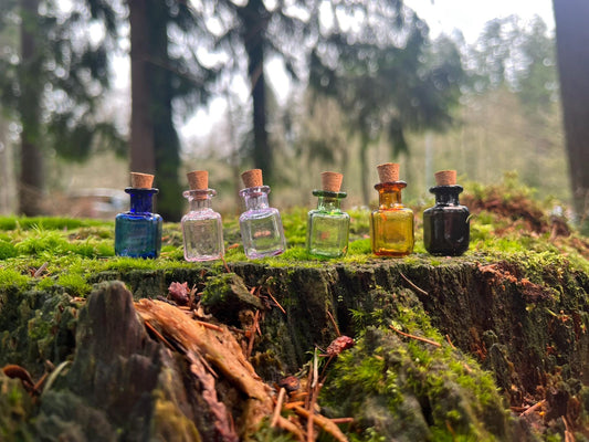 Set of 6 Enchanted Colored Miniature Bottles