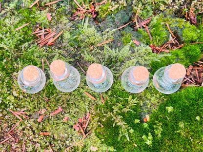 Set of 5 Enchanted Transparent Miniature Bottles