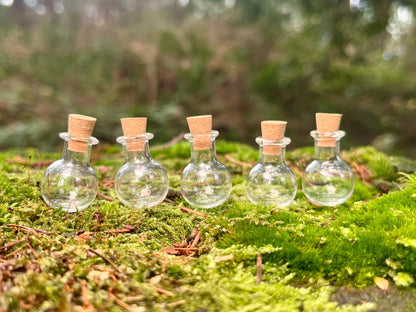Set of 5 Enchanted Transparent Miniature Bottles