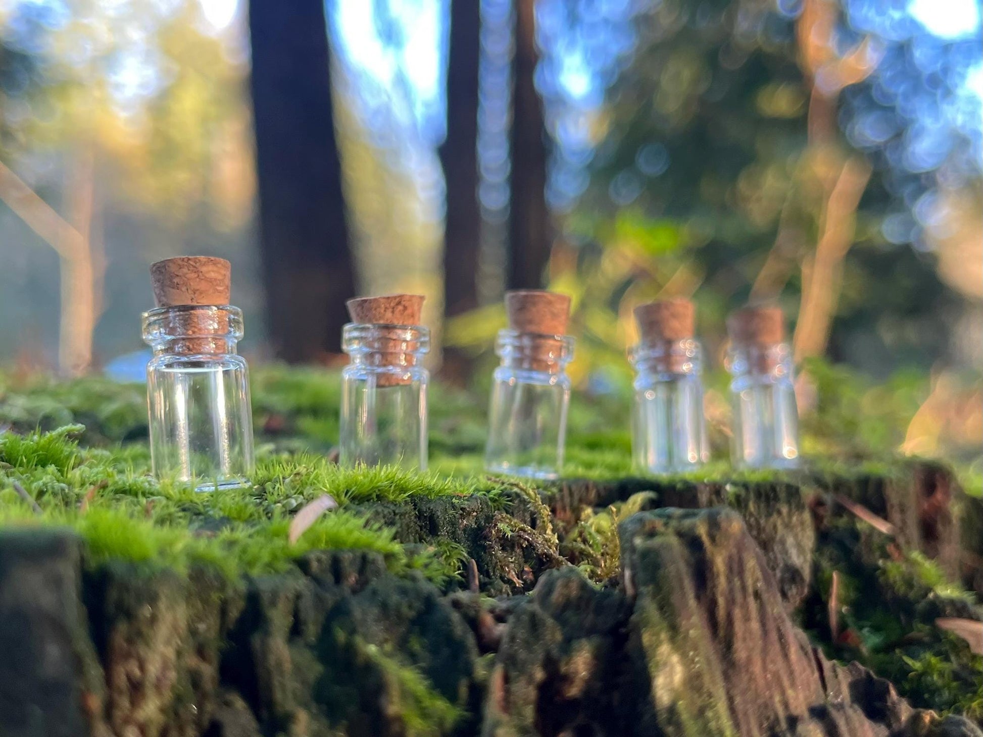 Set of 5 Enchanted Transparent Tiny Bottles