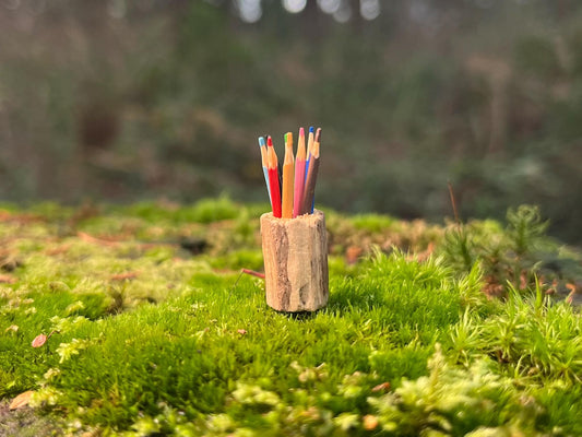 8 Miniature Colorful Pencils