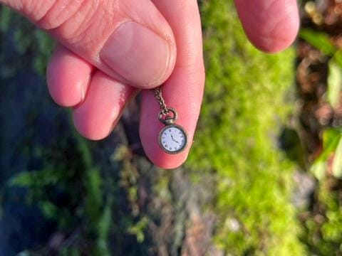 Enchanted Bronze Pocket Watch