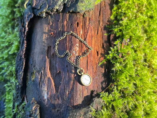 Enchanted Bronze Pocket Watch