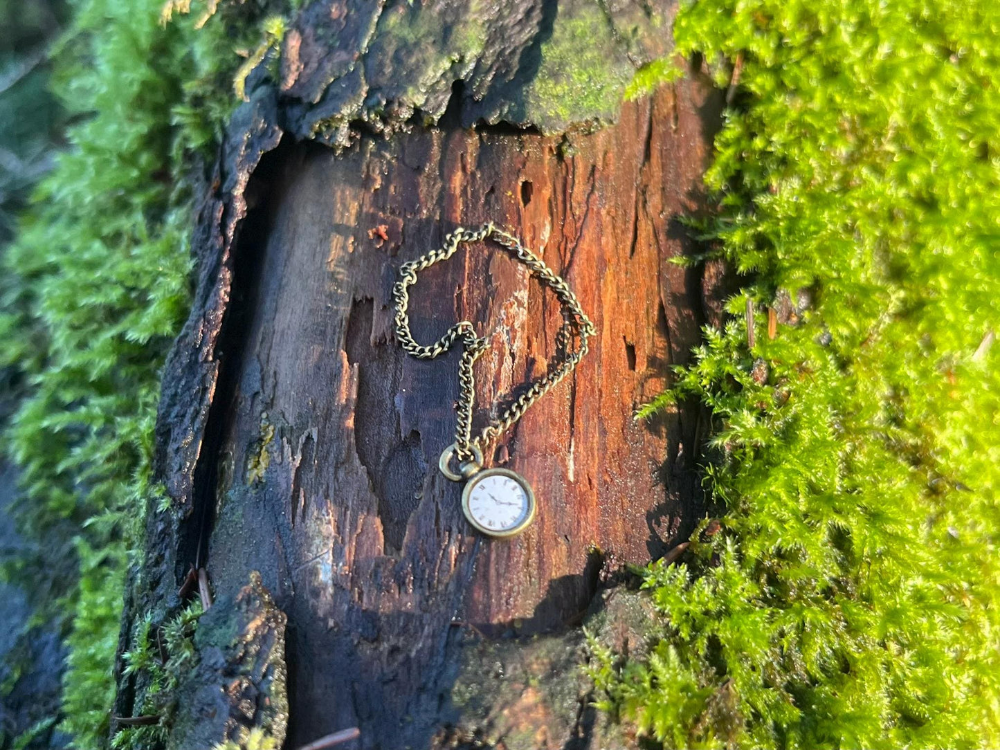 Enchanted Bronze Pocket Watch