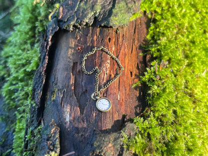 Enchanted Bronze Pocket Watch