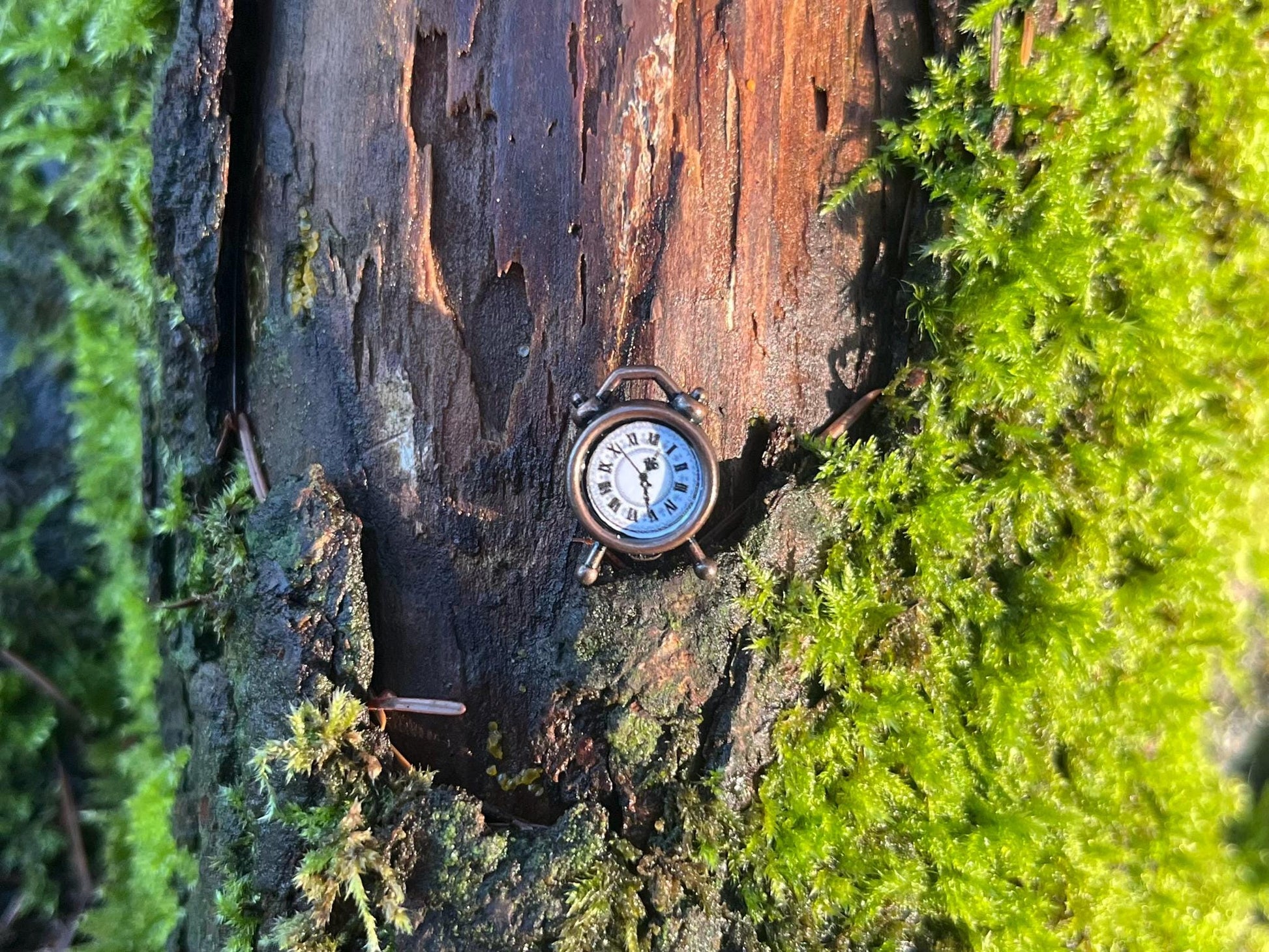 Enchanted Bronze Alarm Clock