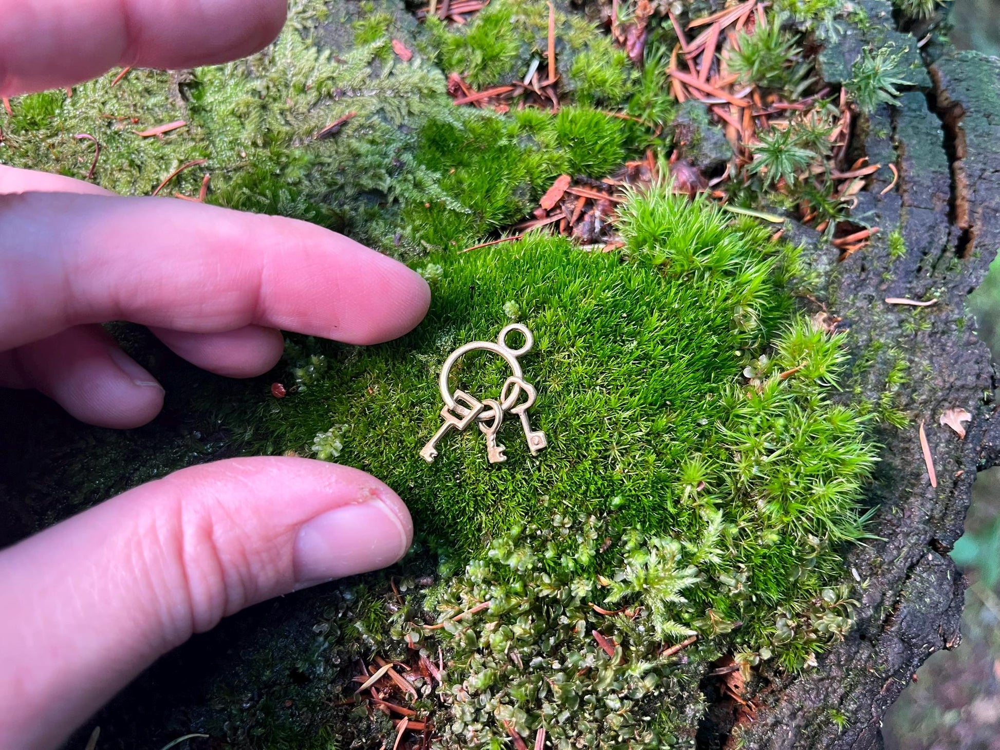 Bronze Keychain with 3 Keys – Vintage Keychain for Fairy Gardens & Magical Creations