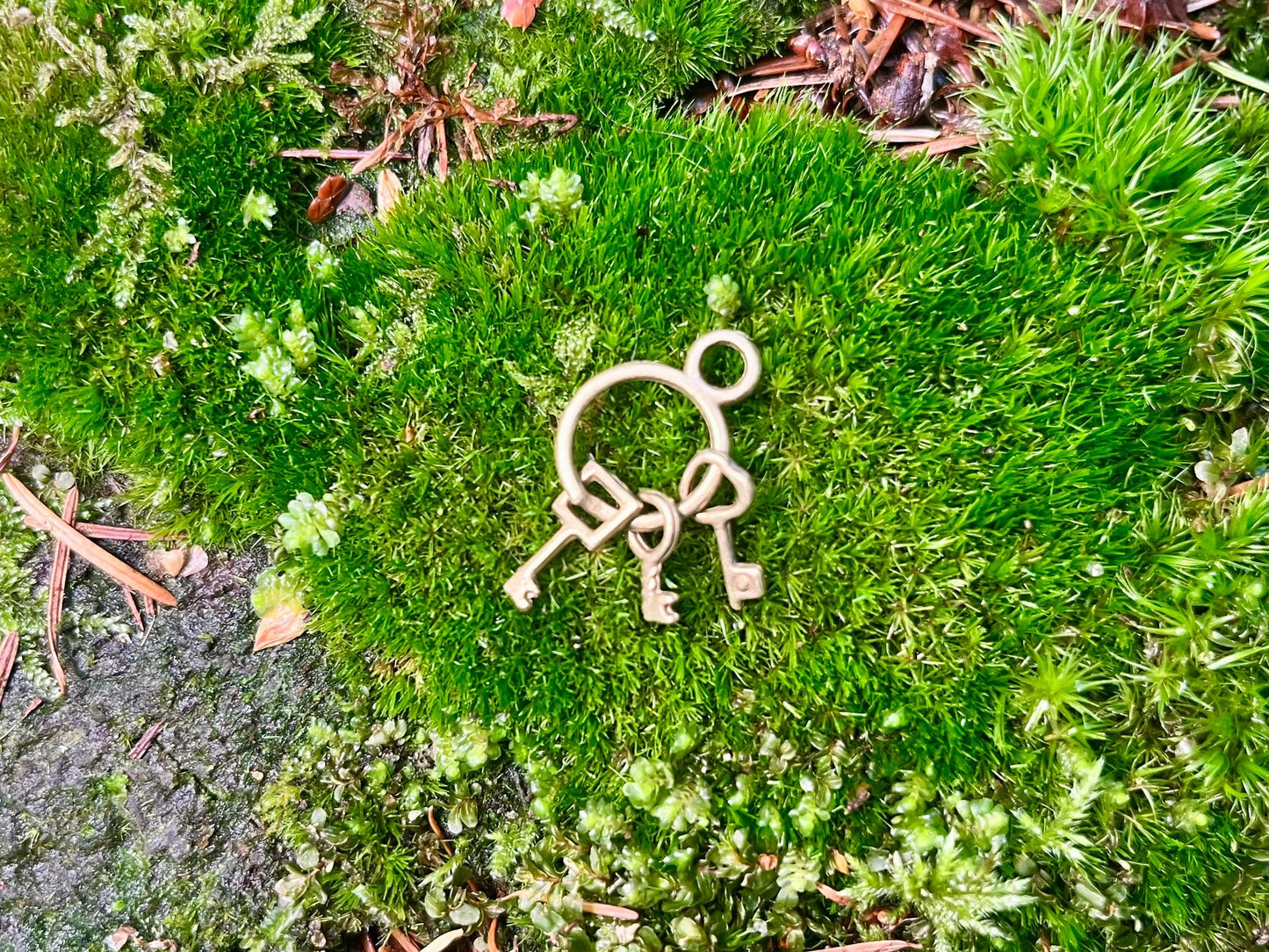 Bronze Keychain with 3 Keys – Vintage Keychain for Fairy Gardens & Magical Creations
