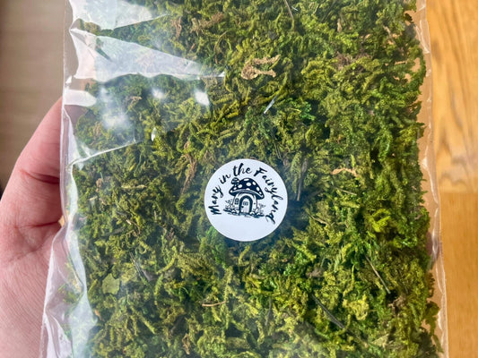 Natural Dried Forest Moss – Perfect for Fairy Gardens & Miniature Creations