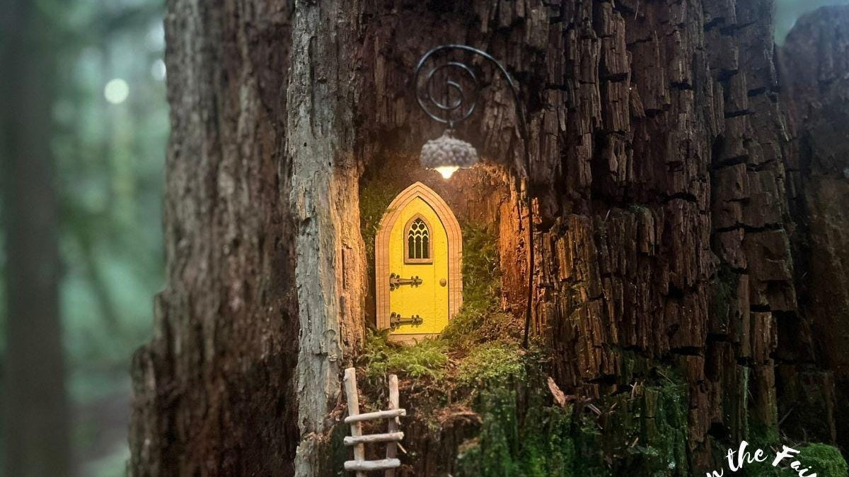 DIY Fairy Lantern Kit with Wooden Acorn Cap – Create 5 Magical Fairy Lights