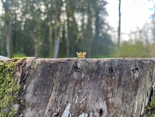 Adorable Golden Fairy Crown with Diamonds