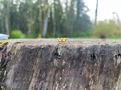 Adorable Golden Fairy Crown with Diamonds