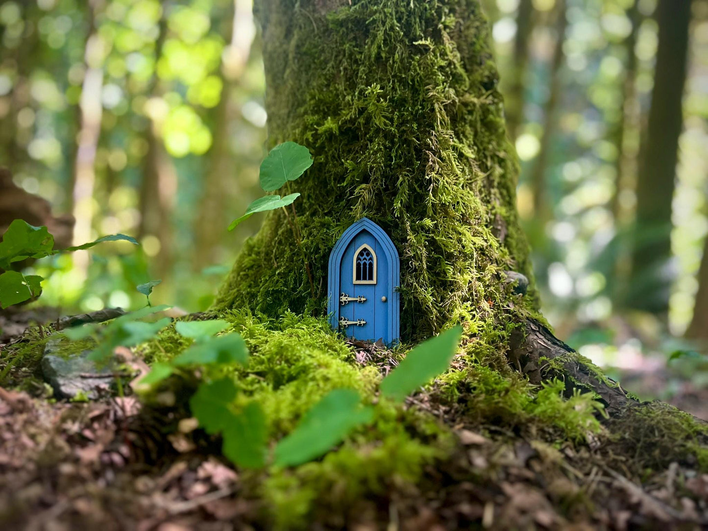 Colored Gothic Fairy Doors for Enchanting Outdoor Fairy Gardens