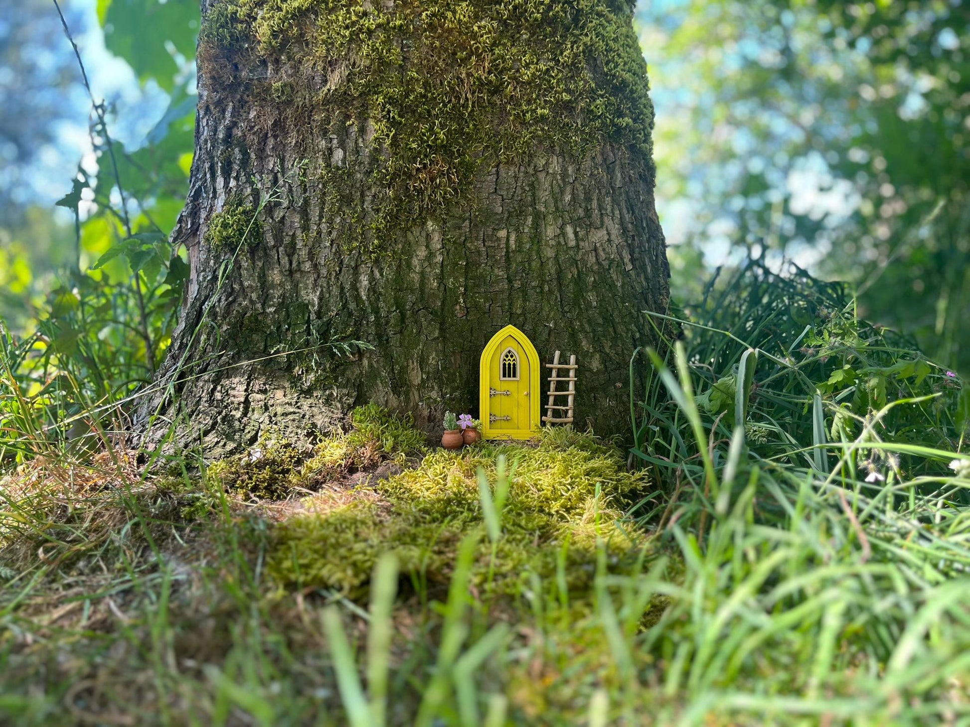 Colored Gothic Fairy Doors for Enchanting Outdoor Fairy Gardens