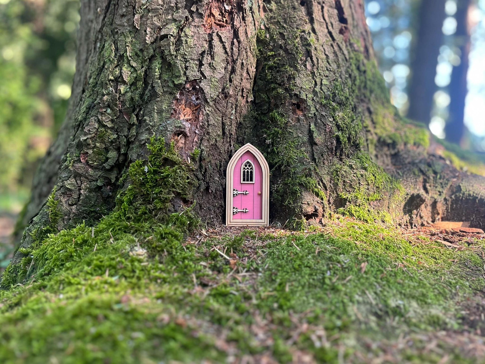 Half-Colored Gothic Fairy Doors for Enchanting Outdoor Fairy Gardens