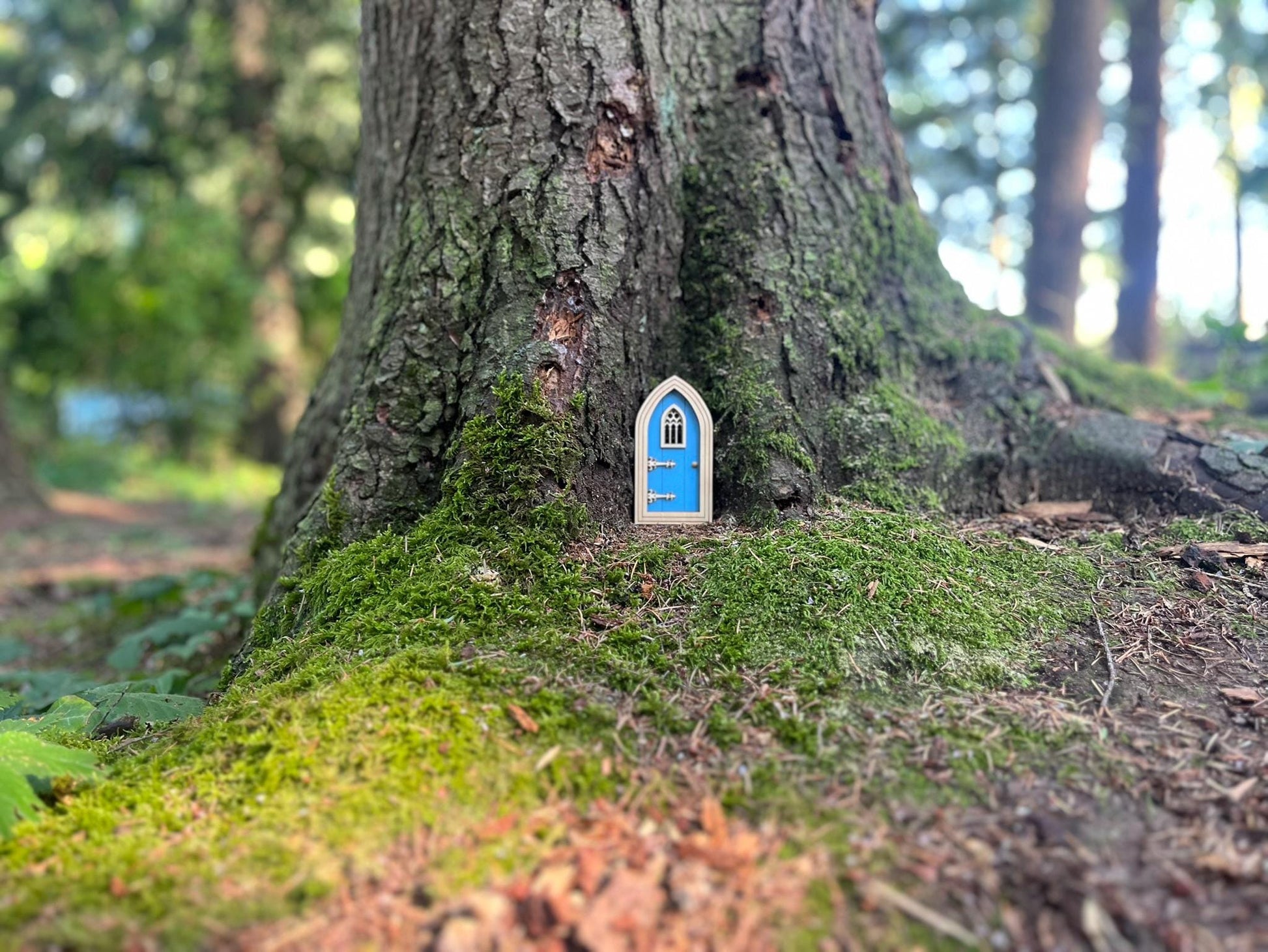 Half-Colored Gothic Fairy Doors for Enchanting Outdoor Fairy Gardens