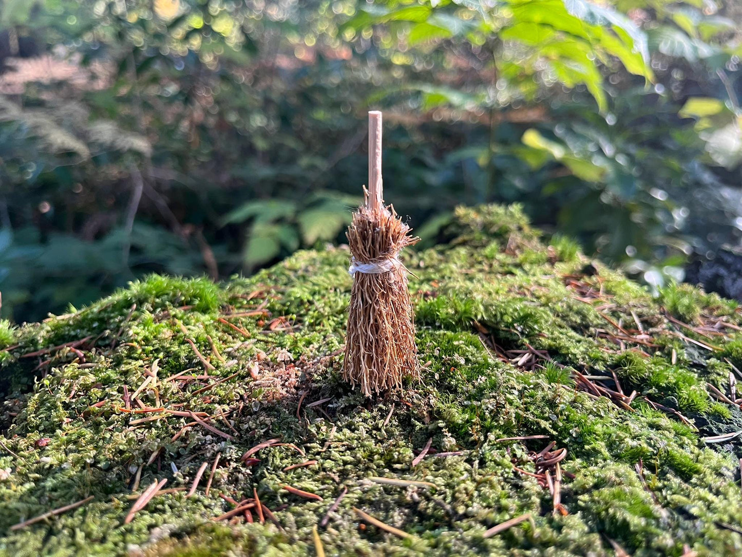 Fairy Door Starter Set - Mini Straw Broom + Watering Can (Red or Green) + Bench