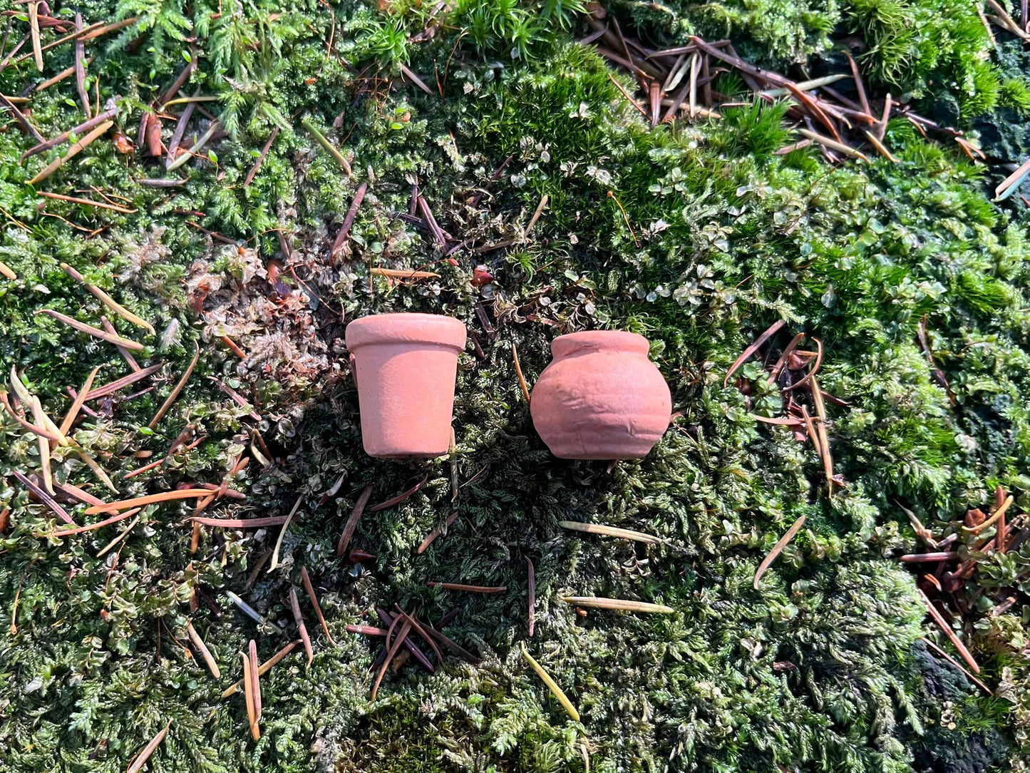 Fairy Garden Starter Set – Wooden Bridge + Mini Fireplace + 2 Tiny Terracotta Pots