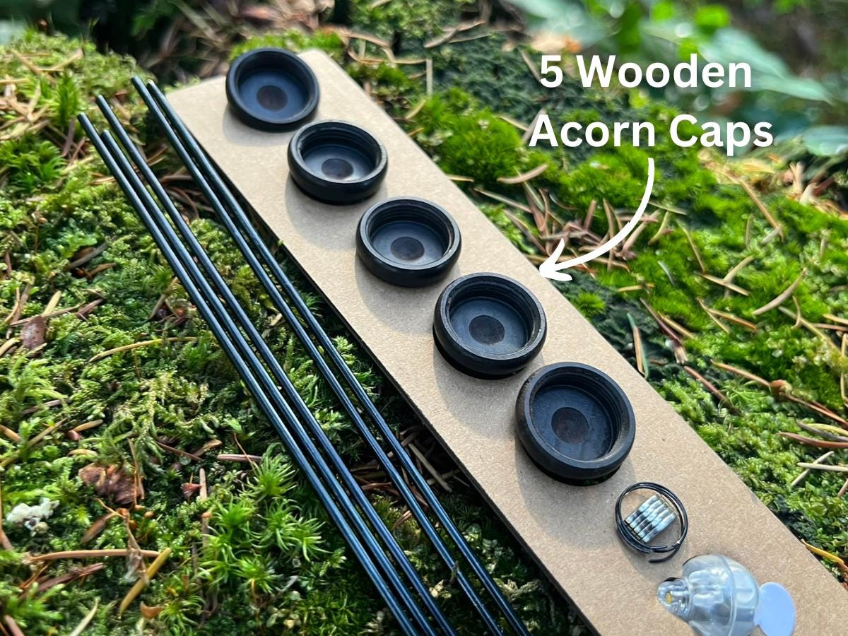 DIY Fairy Lantern Kit with Wooden Acorn Cap – Create 5 Magical Fairy Lights