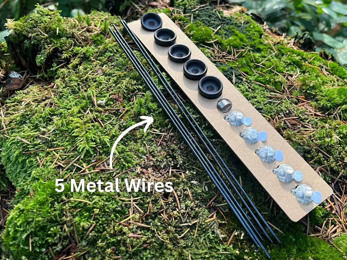 DIY Fairy Lantern Kit with Wooden Acorn Cap – Create 5 Magical Fairy Lights