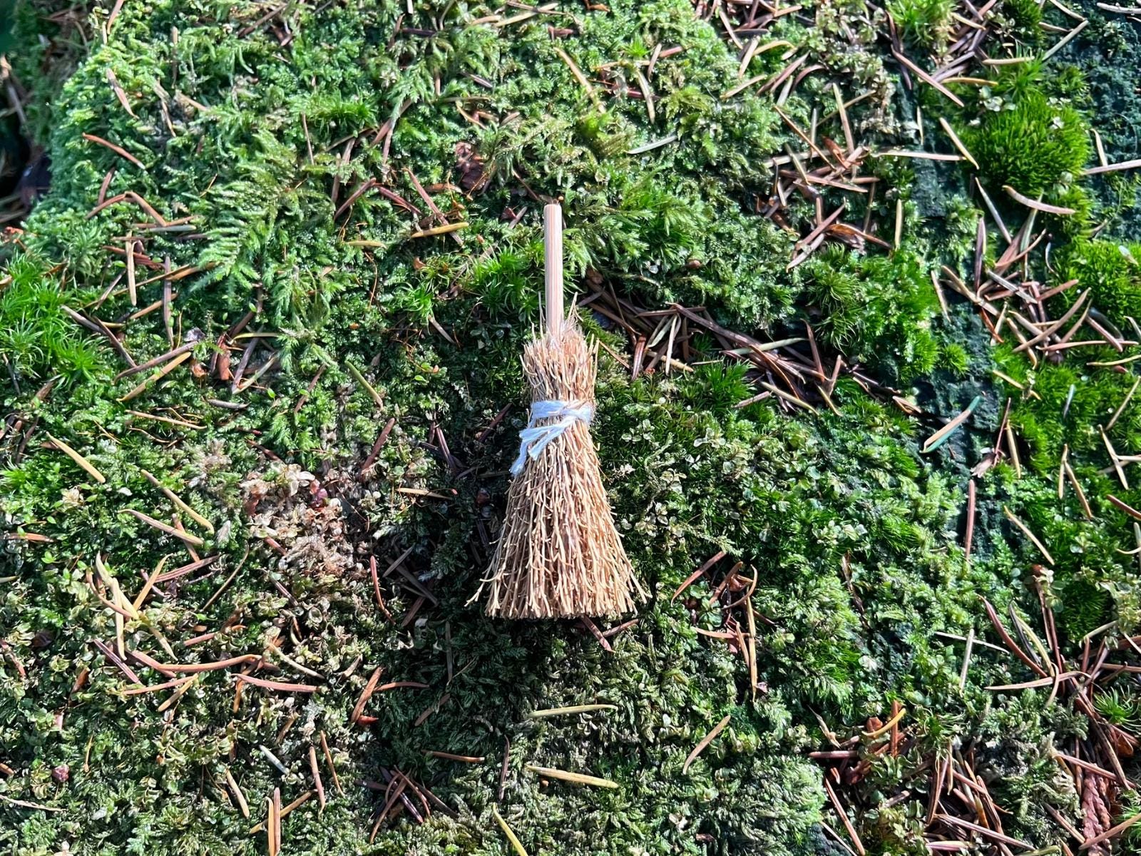 Fairy Garden Gift Set: FairyDoor, Bench, Broom & Watering Can - FREE U.S. Shipping