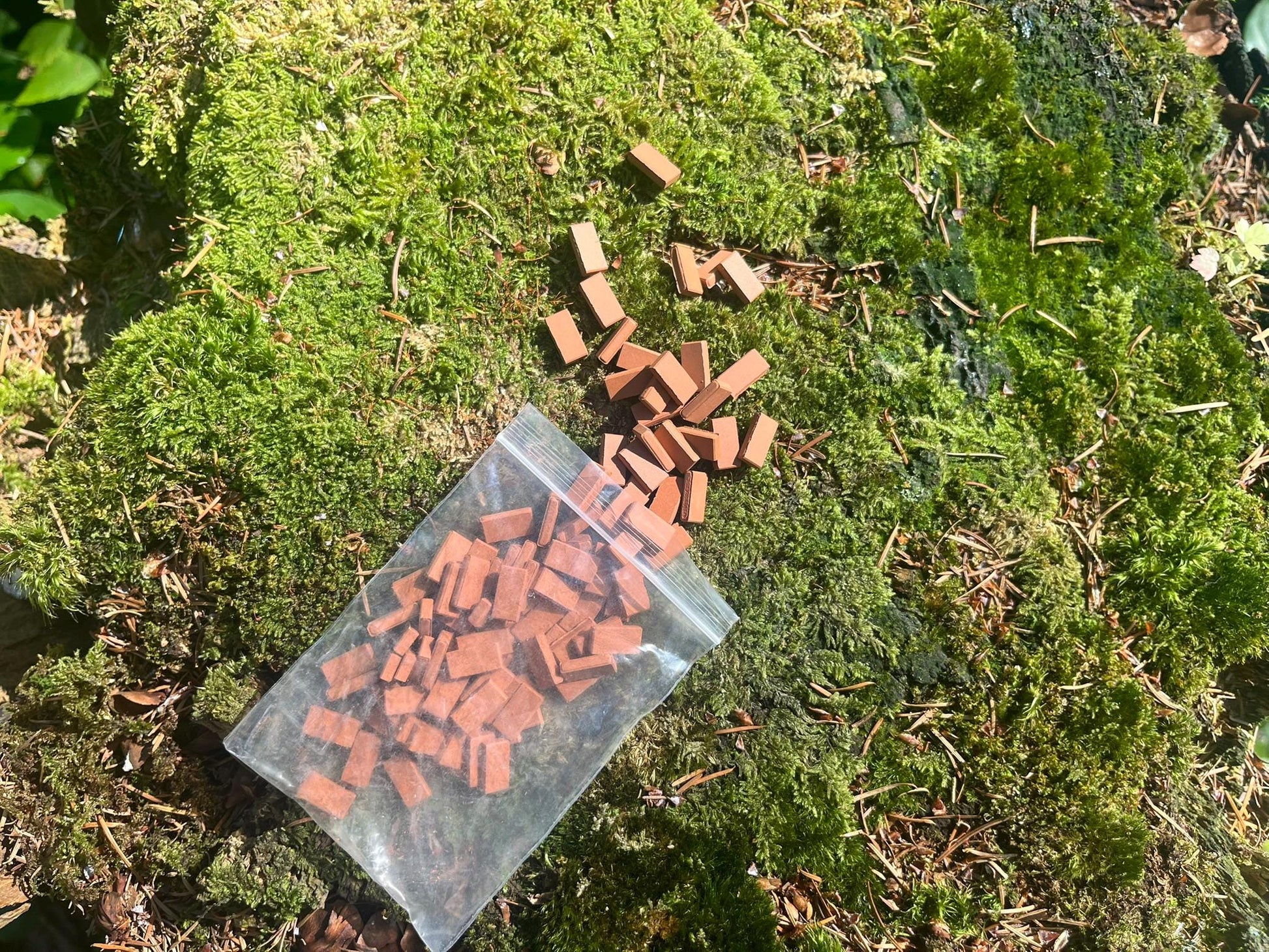 Mini Bricks 1:35 - 100 pc Set for Fairy House & Fairy Garden Building