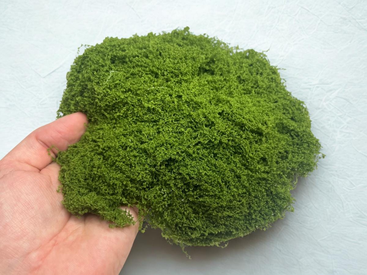 100g Green String Moss for Fairy Gardens - DIY Fairy Houses, Terrariums, Mini Landscapes & Crafts